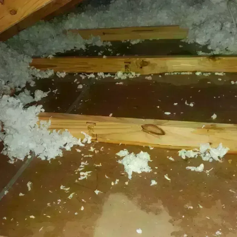 Attic Water Damage in Pershing County, NV