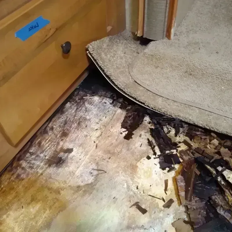 Wood Floor Water Damage in Pershing County, NV